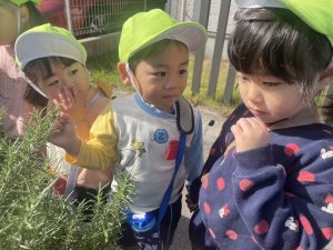 Puppy’s big adventure